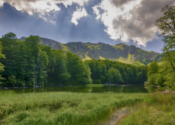 Δίκτυο Λιμνών Κεντρικής και Ηπειρωτικής Ελλάδας
