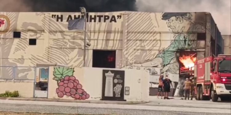 Αγροτικό Παραγωγικό Συνεταιρισμό Νέας Αγχιάλου "Η ΔΗΜΗΤΡΑ"