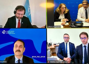 FAO ΥπΑΑΤ