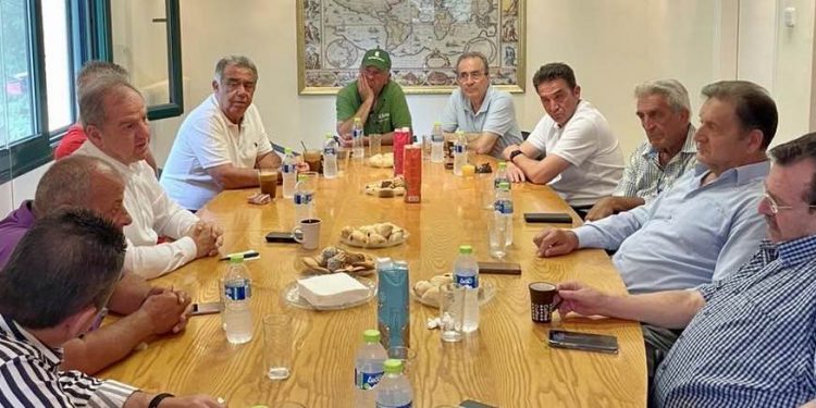 Διεπαγγελματική Οργάνωση Πυρηνοκάρπων