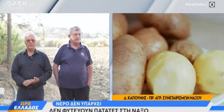Πατάτα Νάξου