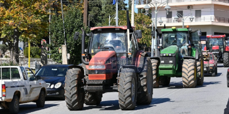 Ευλογιά: Νέα εστία στη Φωκίδα – Διαμαρτυρία κτηνοτρόφων στη Χαλκιδική