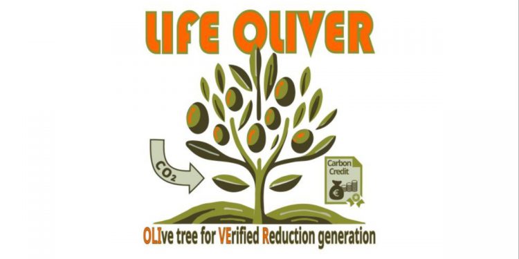 Life oliver