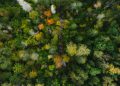 Βραβείο Natura 2000