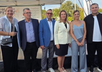 Φεστιβάλ Ρυζιού