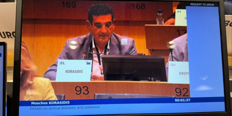 Μόσχος Κορασίδης ΕΟΚΕ